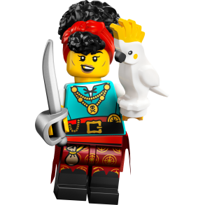 Pirate Quatermaster (71048-8)