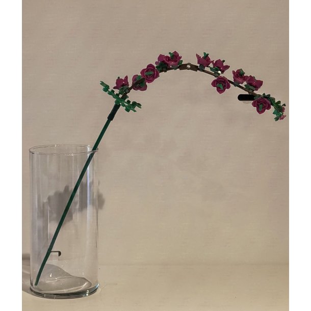 Alternativ Kirseb�rblomst, R�d (dob10)