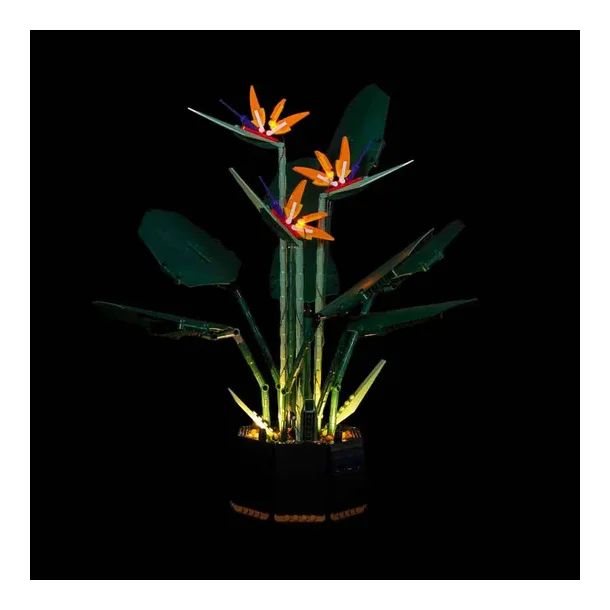 Bird of Paradise Light Kit for #10289