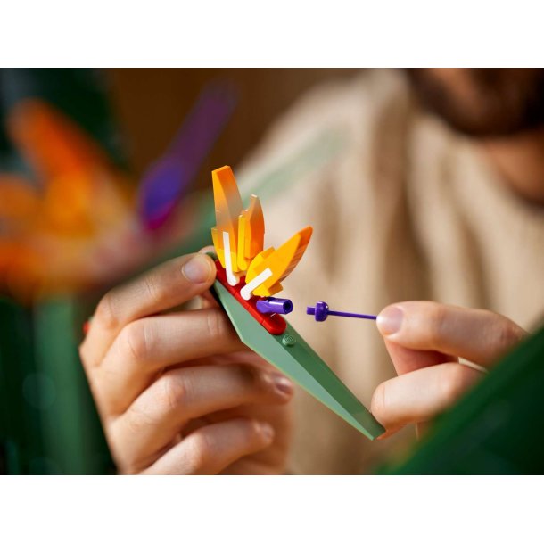 LEGO Botanicals - Paradisfugl (10289)
