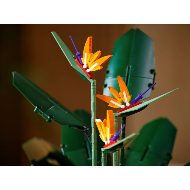 LEGO Botanicals - Paradisfugl (10289)