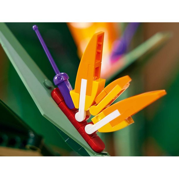 LEGO Botanicals - Paradisfugl (10289)