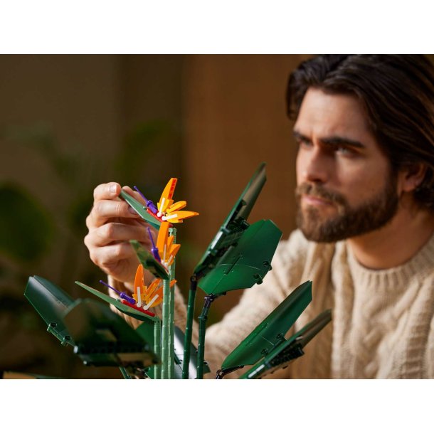 LEGO Botanicals - Paradisfugl (10289)