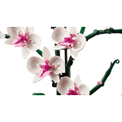 LEGO Botanicals - Orkid� (10311)