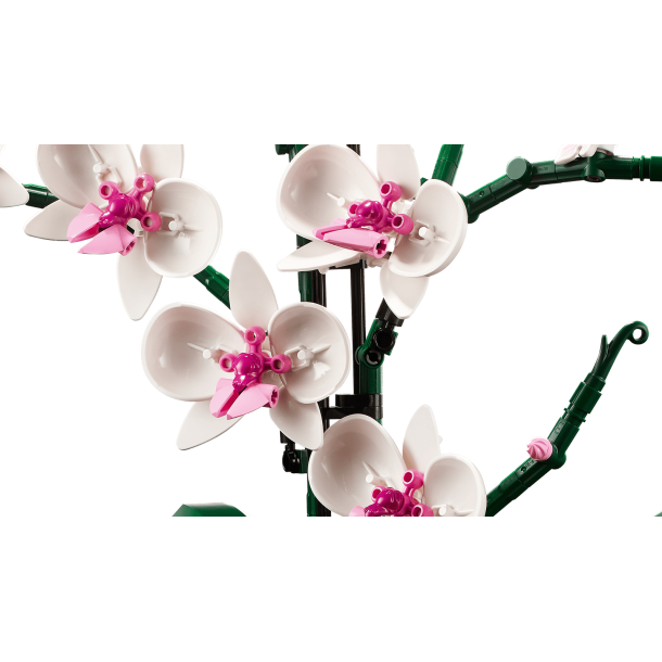 LEGO Botanicals - Orkid� (10311)