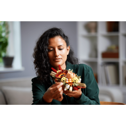 LEGO Botanicals - Dekoration med t�rrede blomster (10314)