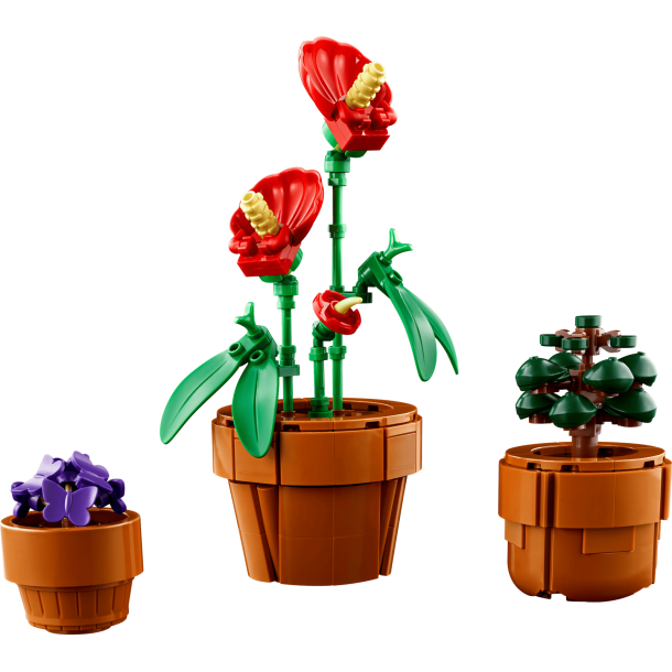 LEGO Botanicals - Sm� planter (10329)