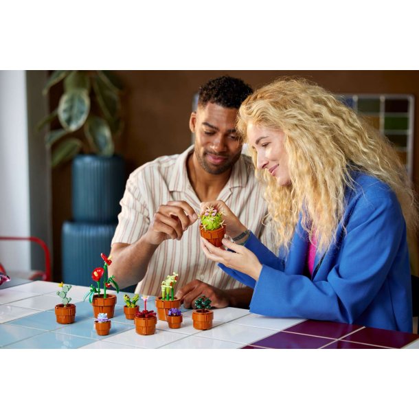 LEGO Botanicals - Sm� planter (10329)