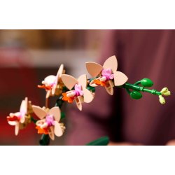 LEGO Botanicals - Mini-orkid� (10343)
