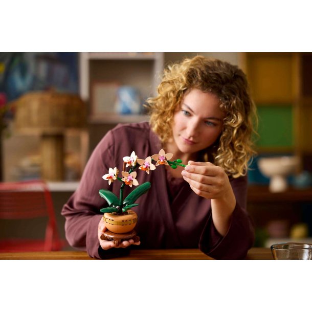 LEGO Botanicals - Mini-orkid� (10343)