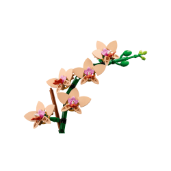 LEGO Botanicals - Mini-orkid� (10343)