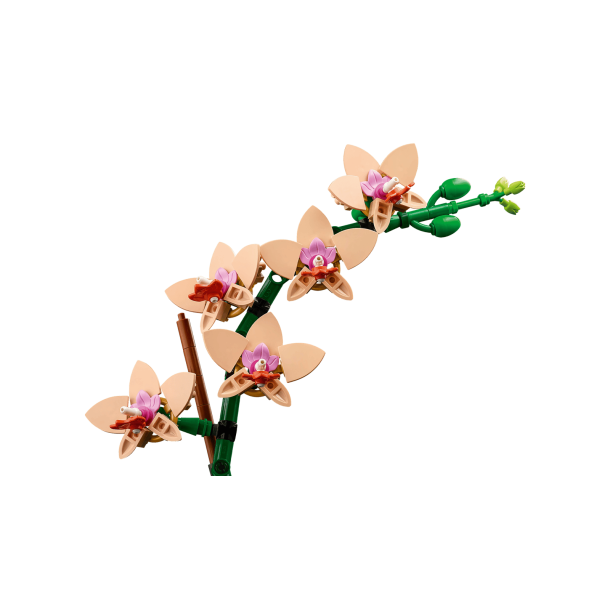 LEGO Botanicals - Mini-orkid� (10343)