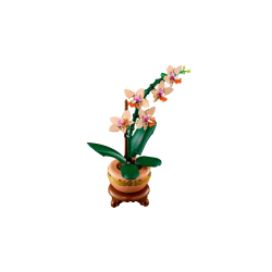 LEGO Botanicals - Mini-orkid� (10343)
