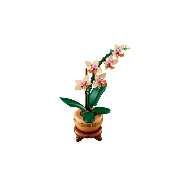 LEGO Botanicals - Mini-orkid� (10343)