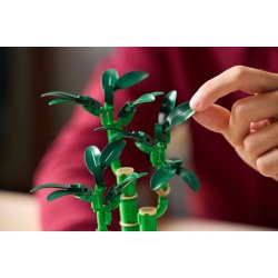 LEGO Botanicals - Lykkebambus (10344)