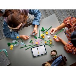 LEGO Botanicals - Lille sommerlig buket (10347)