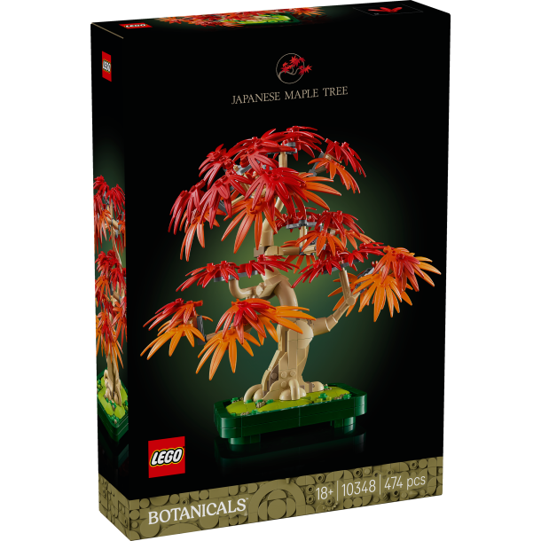 Bonsaitr: Japansk ln (10348)