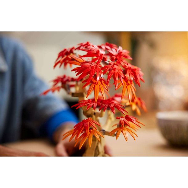 LEGO Botanicals - Bonsaitr�: Japansk l�n (10348)