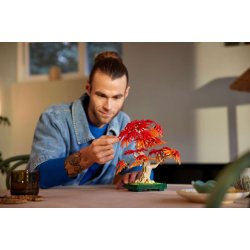 LEGO Botanicals - Bonsaitr�: Japansk l�n (10348)
