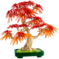 Bonsaitr: Japansk ln (10348)