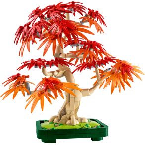 Bonsaitr�: Japansk l�n (10348)