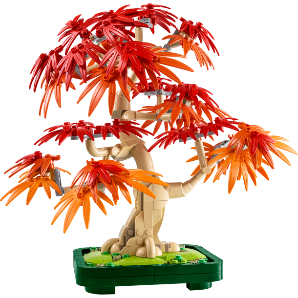 Bonsaitr: Japansk ln (10348)