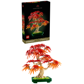 Bonsaitr: Japansk ln (10348)