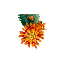 LEGO Botanicals - Krysantemum (10368)