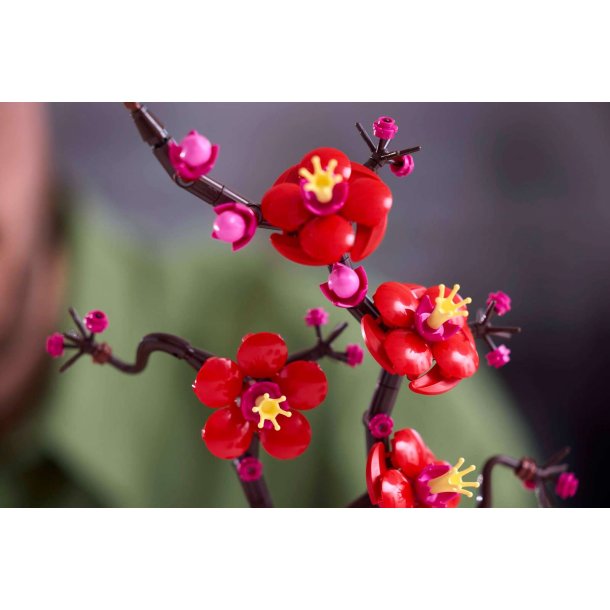 LEGO Botanicals - Japansk Abrikostr� (10369)