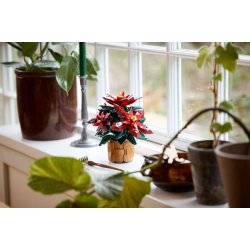LEGO Botanicals - Julestjerne (10370)
