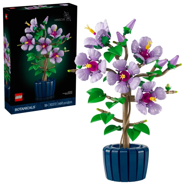 Hibiscus (10372)