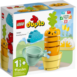 Growing Carrot (10981)