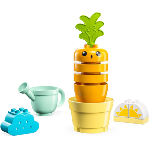 Growing Carrot (10981)