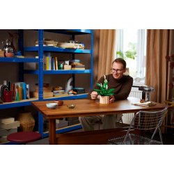 LEGO Botanicals - Fredslilje (11504)