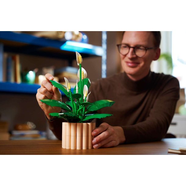 LEGO Botanicals - Fredslilje (11504)