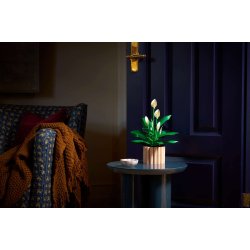 LEGO Botanicals - Fredslilje (11504)