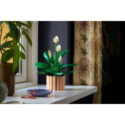 LEGO Botanicals - Fredslilje (11504)