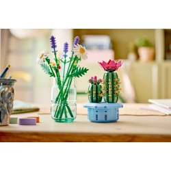 LEGO Botanicals - Blomstrende kaktus (11509)