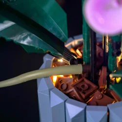 Lyskit til #10311 Orchid CLASSIC (P34801)