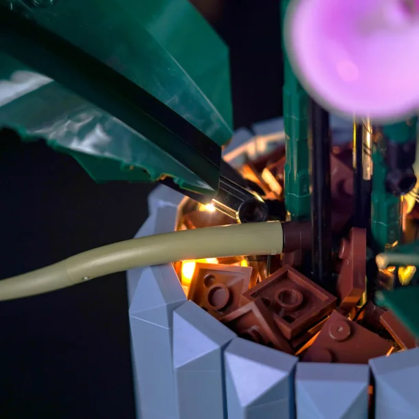 Lyskit til #10311 Orchid CLASSIC (P34801)