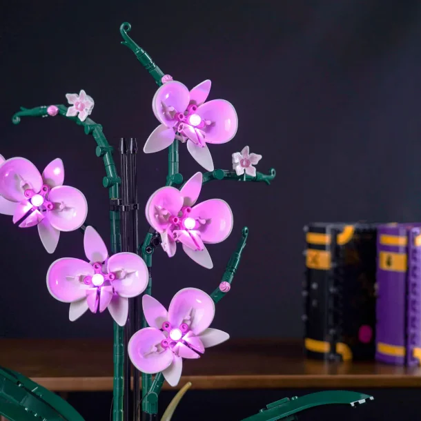 Lyskit til #10311 Orchid CLASSIC (P34801)