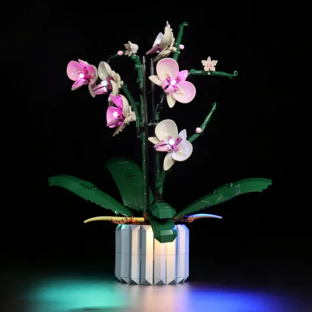 Lyskit til #10311 Orchid  NEW CLASSIC (P49601)