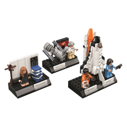 Women of NASA (21312)