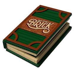 21315 - Brick Tales Pop-Up Book 