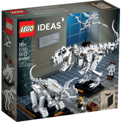 Dinosaur Fossils (21320)