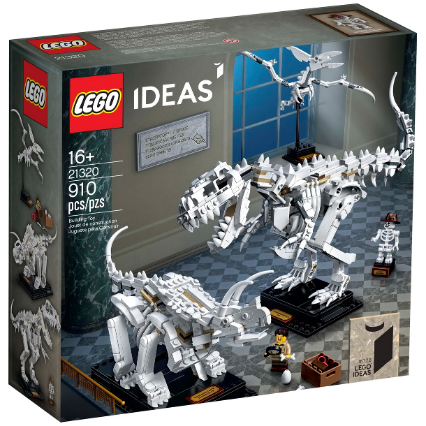 Dinosaur Fossils (21320)