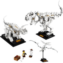 Dinosaur Fossils (21320)