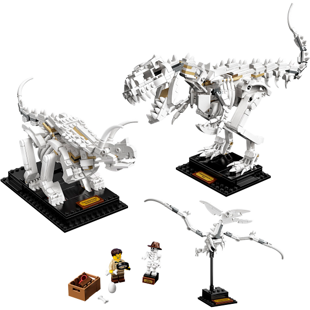 Dinosaur Fossils (21320)