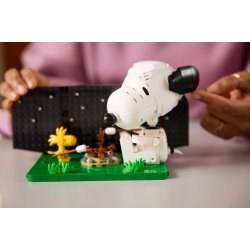 Radiserne: Nusers hundehus (21368)