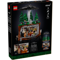 The X-Files (21369)